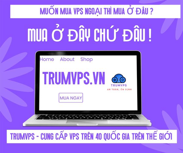 Server VPS Singapore: Những Điều Cần Biết Về VPS Singapore 2024